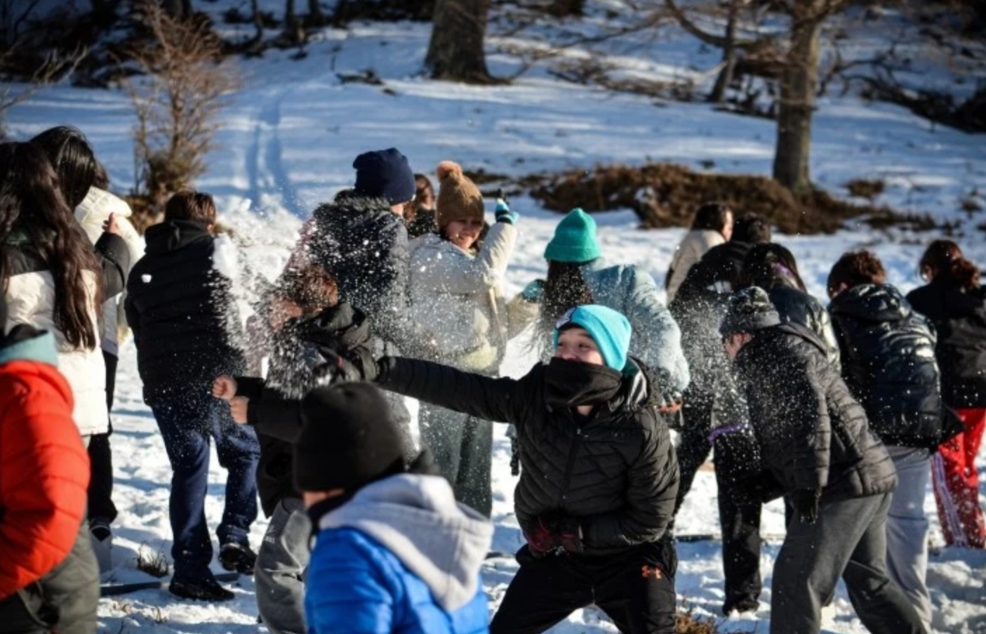 Colonias de invierno