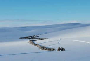 Alerta por nevadas en Santa Cruz para el jueves 23 de julio