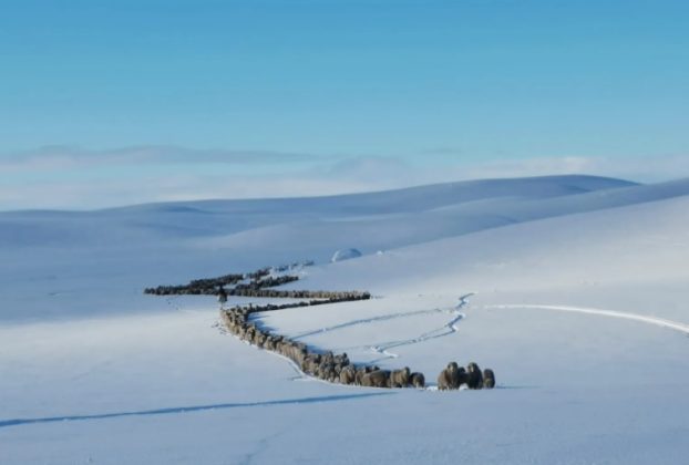 Alerta por nevadas en Santa Cruz para el jueves 23 de julio