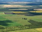 Ley de Tierras