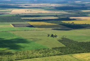 Ley de Tierras