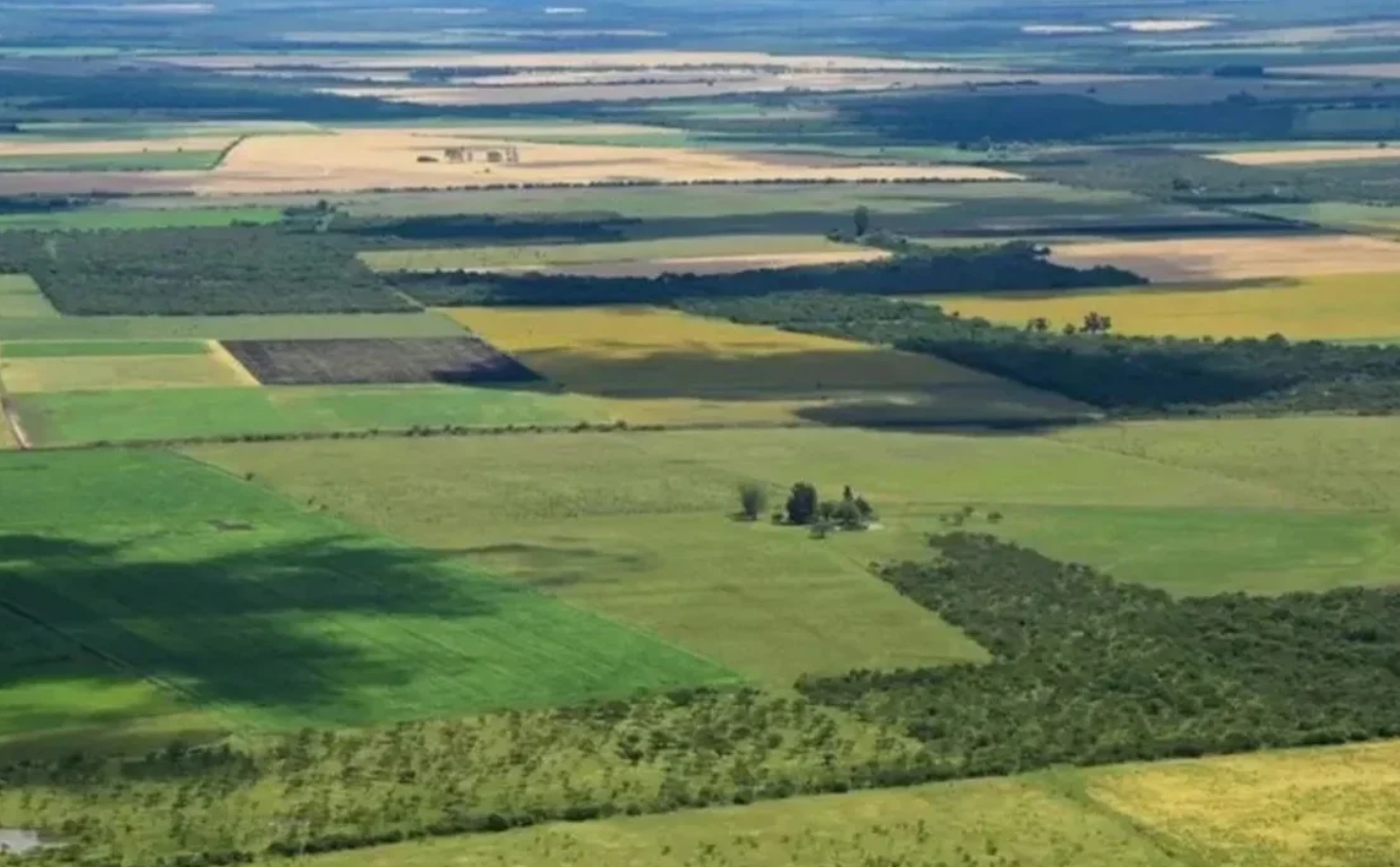 Ley de Tierras